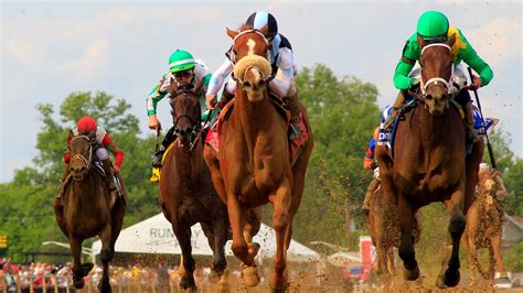 preakness results|preakness results payouts 2021.